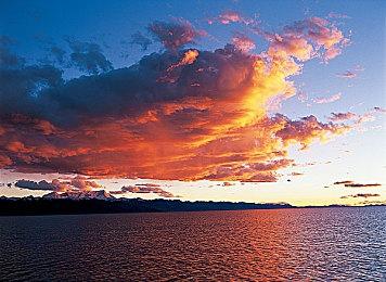 《方舟：生存飞升》失落之地DLC预告  MAPPA操刀动画宣传片